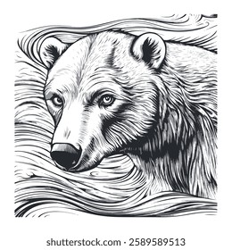 Polar bear sketch black and white engraving drawing. 3 colors EPS 10 vector illustration