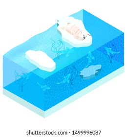 Polar bear sleeping on an ice floe. Vector isometric. Design of flyers, brochures, websites, postcards, banners. Vector, EPS 10