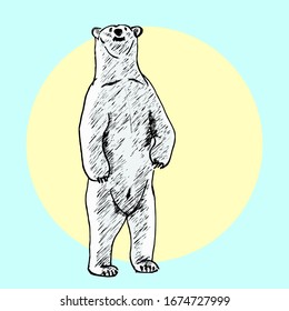 A polar bear standing on its hind legs. Hand drawn vector illustration.