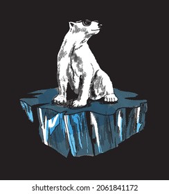 Polar bear standing on an ice floe