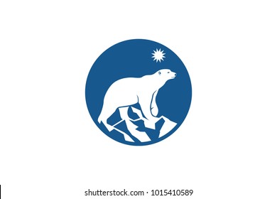 Polar bear Standing on snow mountain under Northern Star