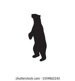 Polar bear standing silhouette vector on a white background