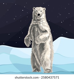 Polar bear stands on the ice against the background of the polar night