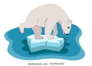 polar bear stands on melting ice floe sad