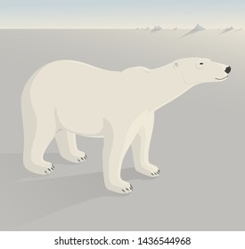 A polar bear stands and sniffs. Vector illustration.
