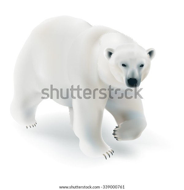 ホッキョクグマ ユルサス マリティムス 白い背景に氷の上を歩く白い熊の手描きのベクトルイラスト のベクター画像素材 ロイヤリティフリー