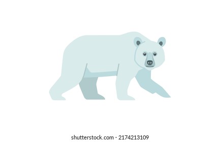 Polar bear (Ursus maritimus) in side angle view, flat style vector illustration isolated on white background