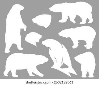 polar bear (ursus maritimus) white hand drawn vector silhouette set - walking, standing animal outline collection and profile head