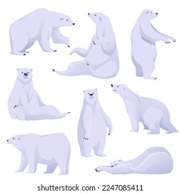 Eisbär in verschiedenen Posen, bestehend aus Charakteren der nördlichen Polare, flache Vektorgrafik einzeln auf weißem Hintergrund. Weißer Bär der nördlichen Natur.