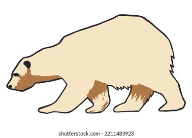Polar Bear - vector illustration