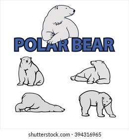 Polar bear vector illustration