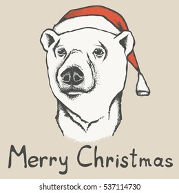 Polar bear vector illustration. Bear in Christmas Santa hat