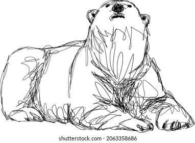 Polar bear vector illustration, hand drawing sketch of artic north pole animal isolated on white background