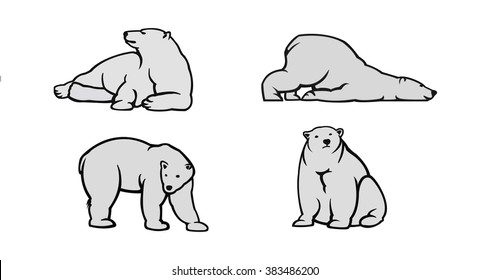 Polar bear vector illustration. Bear on white background. Polar bears. Illustration of polar bear. Polar bear on isolated background