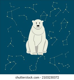 Polar bear, vector illustration. Starry night in the north.