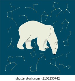 Polar bear, vector illustration. Starry night in the north.