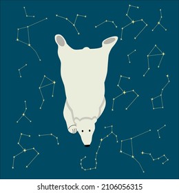 Polar bear, vector illustration. Starry night in the north.