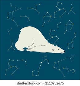 Polar bear, vector illustration. Starry night in the north.
