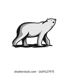 Polar Bear Vectors Downloads Eps