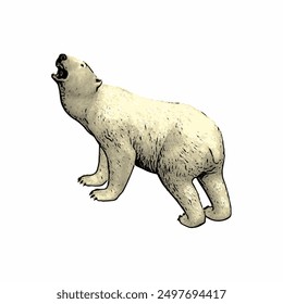 Polar bear vektor ilustration isolated design template mascot logo