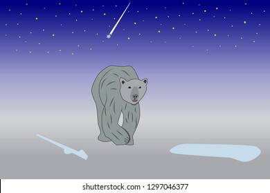 The polar bear is walking along the North Pole, under the falling stars.