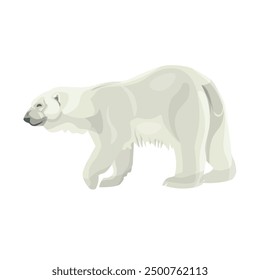 Polar bear walking. Arctic animal. Vector illustration isolated on a white background