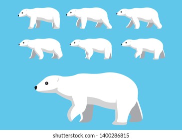 Polar Bear Walking Motion Animation Sequence Cartoon Vector Illustration