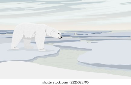 A polar bear walks along a sea shore covered with ice and snow. Wild animals of the Arctic. Realistic vector landscape