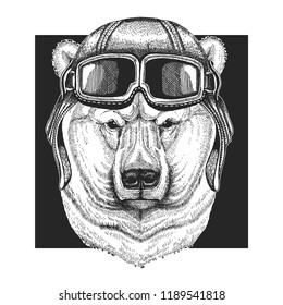 Polar bear wearing aviator hat. Print for children clothes, tee, t-shirt. Pilot wild animal