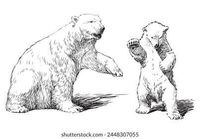 Polar bear; white bear;baby animal,sketch,realistic bear,mammal, contour drawing,vector,mother,cub,two animals,family,predator,sketch, isolated on white,wild animal,Arctic,North Pole,isolated on white