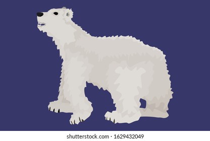polar bear white flat style. on a dark background. vector