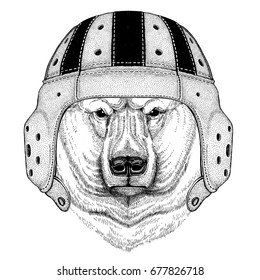 Polar bear Wild animal wearing rugby helmet Sport illustration