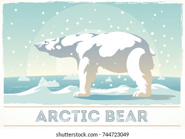 Polar bear in winter landscape, stands on the snow looking into the distance.