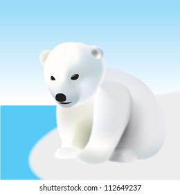 Polar bear young on the iceberg