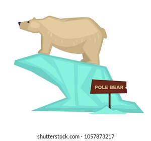 Polar bear zoo animal and wooden signboard vector cartoon icon for zoological park