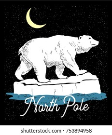 Polar bear.North pole.vector .Retro print