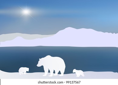 Polar Bears