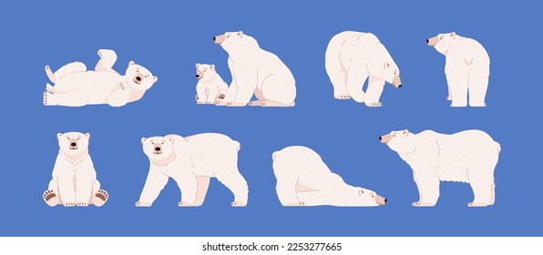 Polar bears adults and baby characters set, flat cartoon vector illustration isolated on blue background. White northern polar bear characters collection.