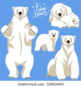 Polar Bears collection. 
