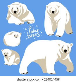 Polar Bears collection. 