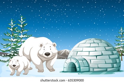 Polar bears standing near igloo at night illustration