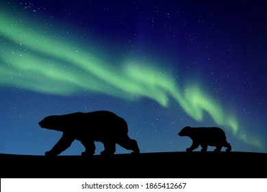 Polar bears walking at night. Animal silhouette. Green aurora borealis