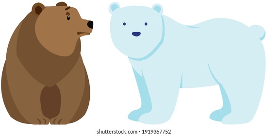 Polar and brown bears side view. Wild animals vector illustration. Large mammals with white and dark fur from around world. Predators isolated on white background. Two bears in one environment