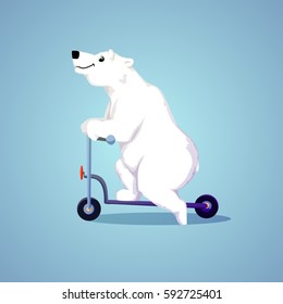 Polar cartoon bear riding a scooter. Vector illustration.