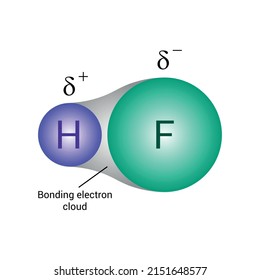 Polar Covalent Bond Of Hydrogen Fluoride (HF). Vector Illustration On White Background