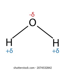 Polar Covalent Bonds Water Molecules H2o Stock Vector (Royalty Free ...