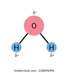 Polar Covalent Bonds Water Molecules H2o Stock Vector (Royalty Free ...