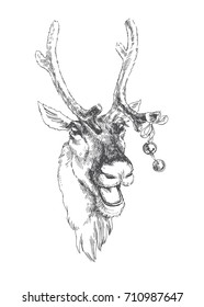 Polar deer head. Vector hand drawn illustration of cute animal with christmas bells. 
