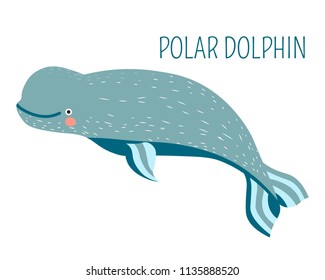 Polar dolphin cartoon childish charater for book