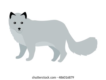 Polar fox flat style vector. Wild predatory animal. North fauna species. For nature concepts, children's books illustrating, printing materials. Fur hunting object. Isolated on white background